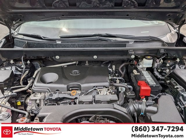 2019 Toyota RAV4 XLE